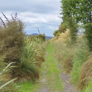 Sinclair Wetlands