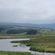 Sinclair Wetlands