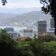 Udsigt over Wellington