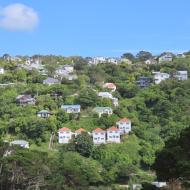 Udsigt over Wellington