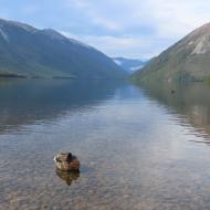 Lake Rotuiti