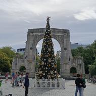Byens juletræ