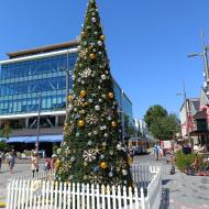 Byens juletræ