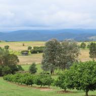 Yarra Valley