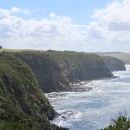 Området ved Cape Schanck Lighthouse