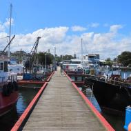 Havnen