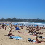 Manly Beach