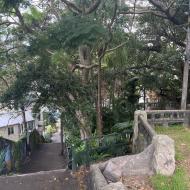 Wendy Whiteley's Secret Garden