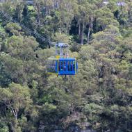 Scenic World