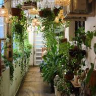 The Cafe Apartment