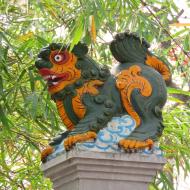 Ngoc Son