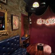 The Unicorn Pub