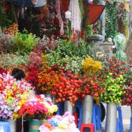Blomster