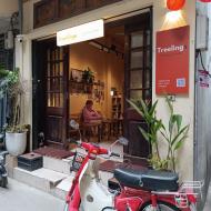 Treelings – Hidden Coffee