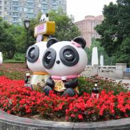 Chengdu elsker pandaer