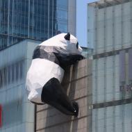 Chengdu elsker pandaer