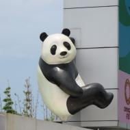 Chengdu elsker pandaer