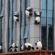 Chengdu elsker pandaer