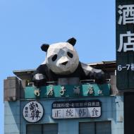 Chengdu elsker pandaer