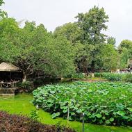 Hyggelig park