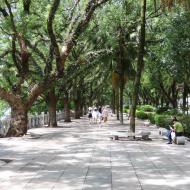 Den smukke promenade 