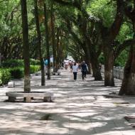 Den smukke promenade 