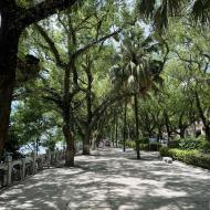 Den smukke promenade