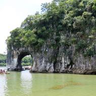 Elefanten med snablen i vandet