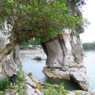 Vi kigger gennem snablen