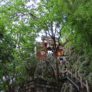 Lidt for stejl for os