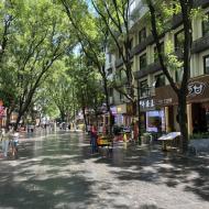 Næsten tomt om dagen