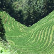 Meget smalle terrasser 