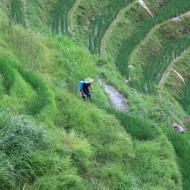 Der arbejdes i markerne