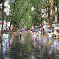 Smukt efter regnvejr