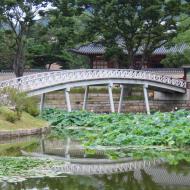 Det nordlige område 