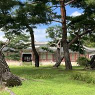 Vi går op mod haven