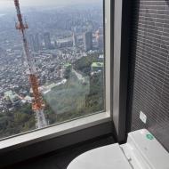 Udsigten fra toilettet 