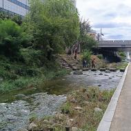 Området tæt på DDP