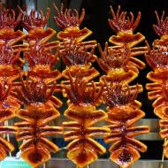 Salg af blæksprutter 