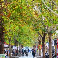 Området med butikker