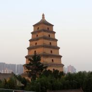 Oppe på taget i Joy City