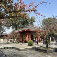 På vej ned til templets indgang