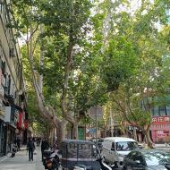 På vej hjem fra Old Market