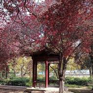 Vi går tur langs den udvendige side af muren