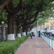 Xinghai Street