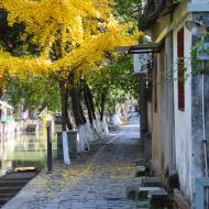 Tegner til at blive en dejlig dag