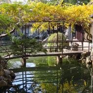 Vi besøger en smuk have