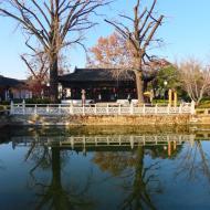 Det andet grønne område