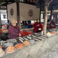 Salg af fisk og skaldyr