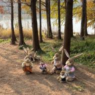 Her er også kaniner